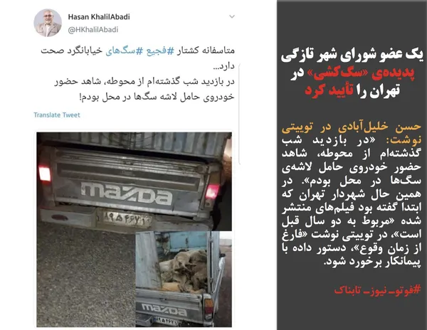 حسن خلیل&zwnj;آبادی در توییتی نوشت: &laquo;در بازدید شب گذشته&zwnj;ام از محوطه، شاهد حضور خودروی حامل لاشه&zwnj;ی سگ&zwnj;ها در محل بودم&raquo;. در همین حال شهردار تهران که ابتدا گفته بود فیلم&zwnj;های منتشر شده &laquo;مربوط به دو سال قبل است&raquo;، در توییتی نوشت &laquo;فارغ از زمان وقوع&raquo;، دستور داده با پیمانکار برخورد شود.
