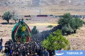 نخل برداری در شهرستان تفت یزد