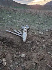 عکس: یک غنیمت جنگی شیرین!