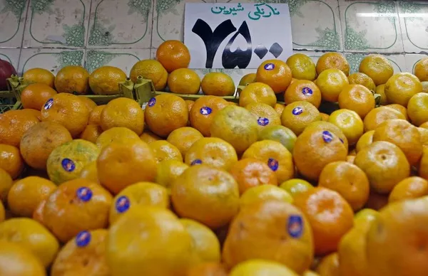 بررسی&zwnj;های میدانی امین جلالی، عکاس ایرنا در خصوص فروش میوه در نقاط مختلف پایتخت نشان می&zwnj;دهد که میوه فصل با قیمت&zwnj;های متفاوت و گاهی با اختلاف چند هزار تومانی در مناطق تهران عرضه می&zwnj;شود. /IRNA