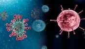 کرونا دارم یا آنفلوآنزا؟