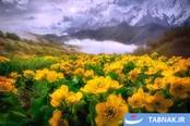 عکس: طبیعت حیرت‌انگیز سیاره ما