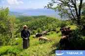طبیعت بکر مریوان