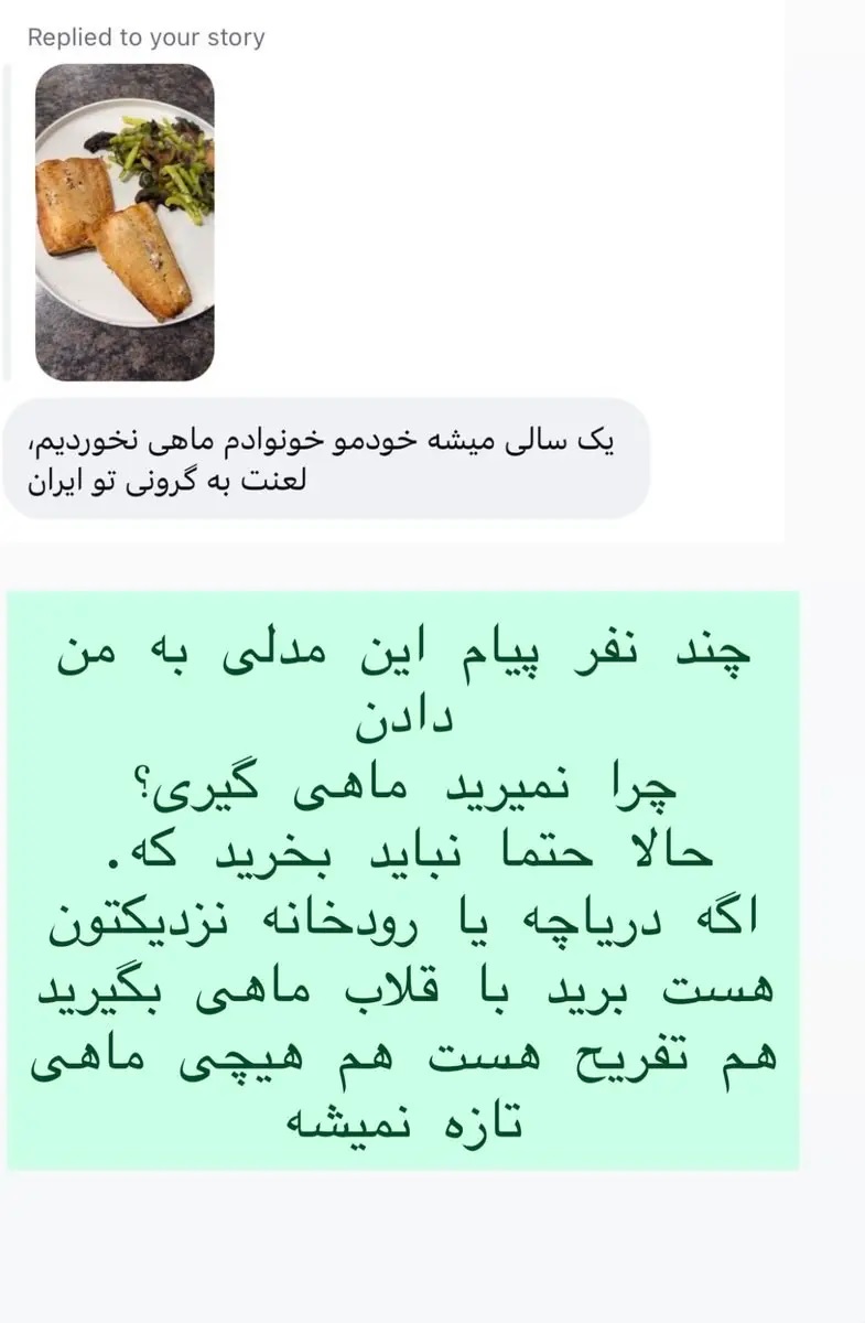 استوری یک بلاگر در ساعات اخیر پرحاشیه شد