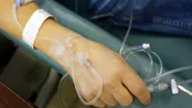 افزایش آمار گربه‌گزیدگی در کشور