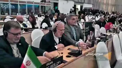 پاسخ محکم نماینده ایران به اظهارات سخیف زن آلمانی