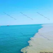 محل برخورد دریا و تالاب در انزلی
