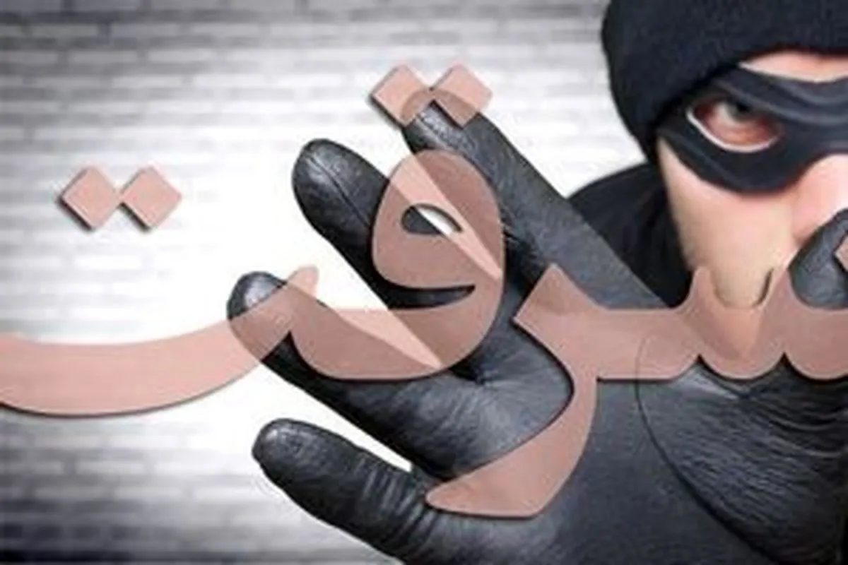 سرقت مسلحانه برای انتقام از پسر صاحبخانه!