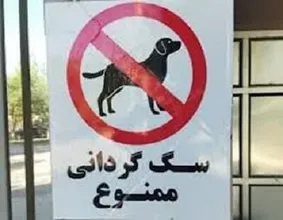 ممنوعیت سگ‌گردانی در اماکن و معابر دو شهر دیگر کشور