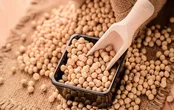 تفاوت سویا و آجیل سویا چیست؟