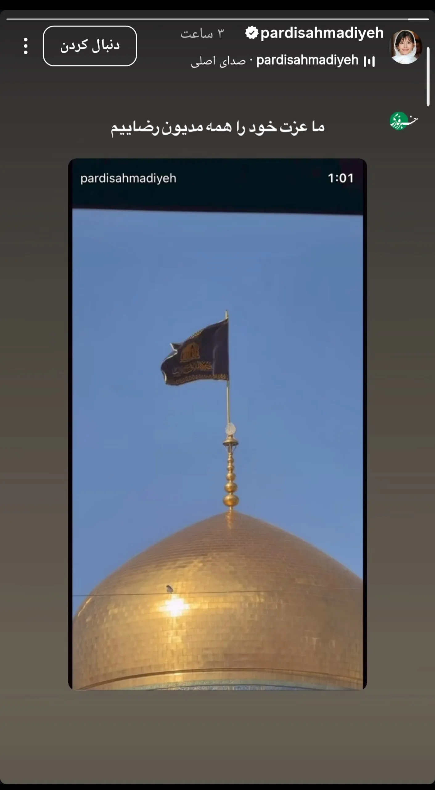 استوری پردیس احمدیه به مناسبت شهادت امام رضا
