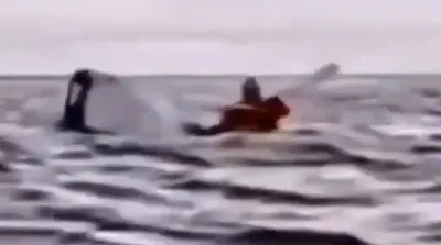 لحظه بلعیدن یک نفر توسط نهنگ