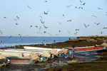 تابناک