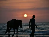 غروب دریا ساحل ایزدشهر