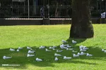 تابناک