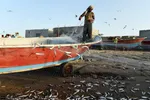 تابناک