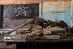 پلدختر 