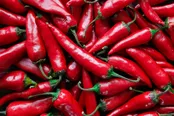 همیشه غذای تند نخورید!