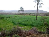 طبیعت کازرون