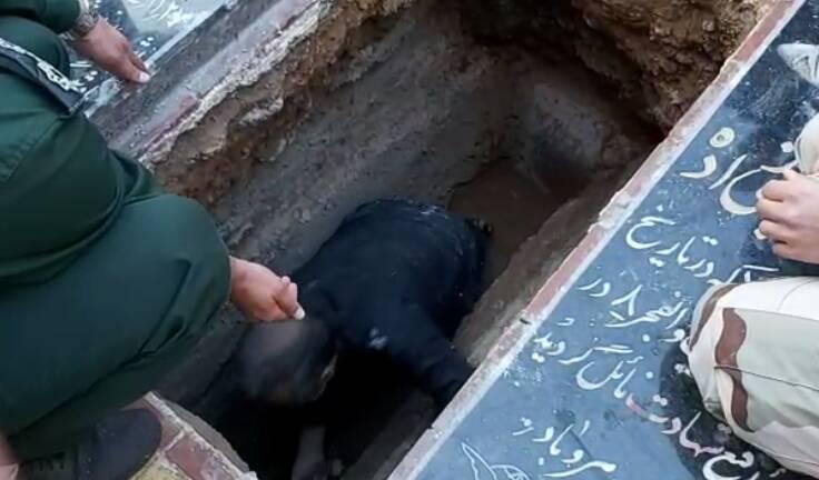 تصاویر آرامگاه ابدی حاج قاسم