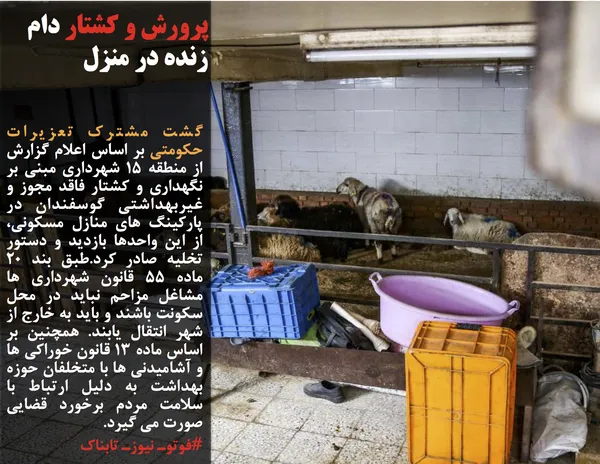 گشت مشترک تعزیرات حکومتی بر اساس اعلام گزارش از منطقه ١5 شهرداری مبنی بر نگهداری و کشتار فاقد مجوز و غیربهداشتی گوسفندان در پارکینگ های منازل مسکونی، از این واحدها بازدید و دستور تخلیه صادر کرد.طبق بند ٢٠ ماده 55 قانون شهرداری ها مشاغل مزاحم نباید در محل سکونت باشند و باید به خارج از شهر انتقال یابند. همچنین بر اساس ماده ١٣ قانون خوراکی ها و آشامیدنی ها با متخلفان حوزه بهداشت به دلیل ارتباط با سلامت مردم برخورد قضایی صورت می گیرد.
