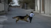 اسرائیل: زهران ممدانی باید دستگیر شود