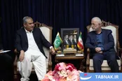 عکس: دیدار وزیر کشور پاکستان با همتای ایرانی در تهران