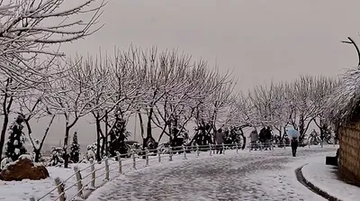 سورپرایز شیرازی‌ها در آستانه نوروز