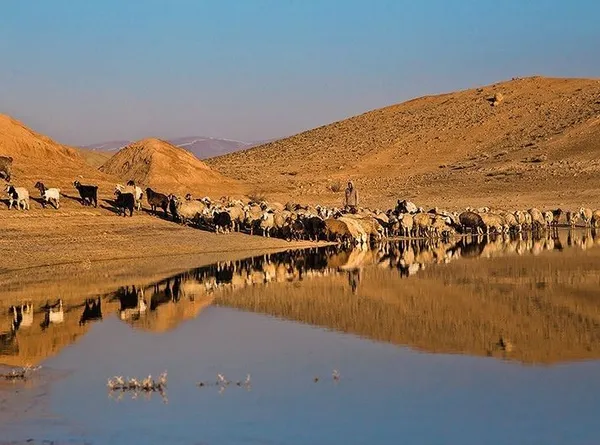 سد خاکی روستای عبدل آباد در شهر حِصارِ گَرْم&zwnj;خان از توابع بجنورد است که در زمستان از آب&zwnj; رودخانه&zwnj;های اطراف پر &zwnj;و در فصل&zwnj;های کم آبی برای تزریق به زمین&zwnj;های کشاورزی اطراف استفاده می&zwnj;شود. از این بند برای پرورش ماهیان گرم آبی نیز استفاده می&zwnj;شود./TASNIM
