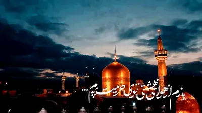 حالم خوبه ؛ حامد جلیلی