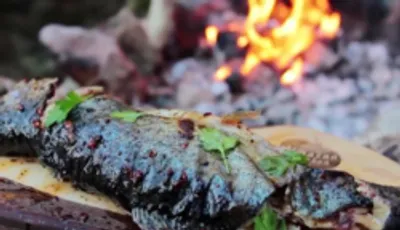 دستور پخت ماهی جنگلی