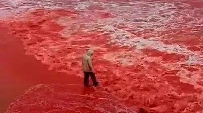 این تصاویر از جزیره هرمز خنده ندارد، گریه دارد!