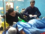 یک