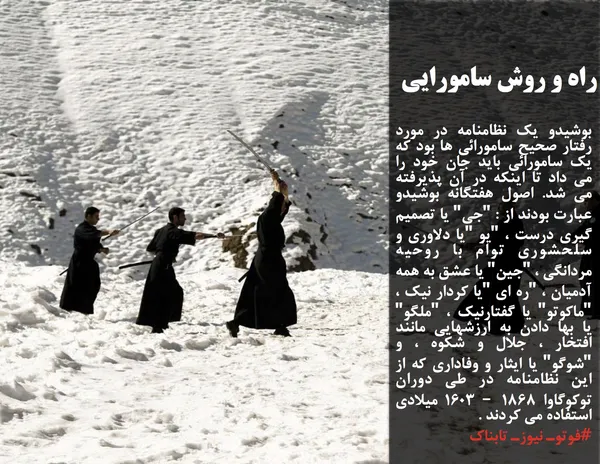 بوشیدو یک نظامنامه در مورد رفتار صحیح سامورائی ها بود که یک سامورائی باید جان خود را می داد تا اینکه در آن پذیرفته می شد. اصول هفتگانه بوشیدو عبارت بودند از : "جی" یا تصمیم گیری درست ، "یو "یا دلاوری و سلحشوری توام با روحیه مردانگی ، "جین" یا عشق به همه آدمیان ، "ره ای "یا کردار نیک ، "ماکوتو" یا گفتارنیک ، "ملگو" یا بها دادن به ارزشهایی مانند افتخار ، جلال و شکوه ، و "شوگو" یا ایثار و وفاداری که از این نظامنامه در طی دوران توکوگاوا 1868 &ndash; 1603 میلادی استفاده می کردند . 
