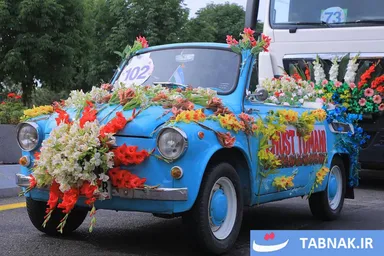 عکس: سفر به دنیای ماشین‌های گل‌گلی