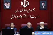 عکس: جلسه شورای هماهنگی اقتصادی دولت