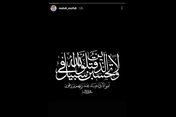 سید مهدی مفیدی گوینده و مجری رادیو و تلویزیون نیز اینگونه واکنش نشان داد: &laquo;وَلا تَحسَبَنَّ الَّذینَ قُتِلوا فی سَبیلِ اللَّهِ أَمواتًا بَل أَحیاءٌ عِندَ رَبِّهِم یُرزَقونَ ((ای پیامبر!) هرگز گمان مبر کسانی که در راه خدا کشته شدند، مردگانند! بلکه آنان زنده&zwnj;اند، و نزد پروردگارشان روزی داده می&zwnj;شوند.)&raquo;