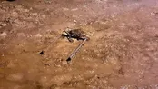 نیسان غرق شده در سیلاب مشهد
