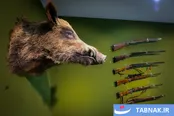 عکس: پردیس موزه‌ای رامسر