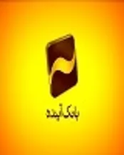 بانک آینده، بانک «دارایی محور»/ ارزندگی ذاتی ساختار مالی بانک آینده