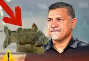 ماجرای ماهی علی دایی و عنکبوت رامبد جوان!