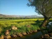 سرابسرخه، لرستان