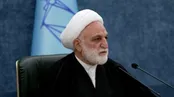 سخنان مهم محسنی اژه ای درباره قیمت ارز