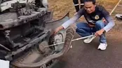 بیرون کشیدن شاه کبرای چهاری متری از خودرو!