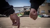 بازداشت یکی از سرکردگان شبکه تراستی