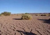 ۱۲۷ هزار هکتار از اراضی گلستان منشأ گردوغبار است