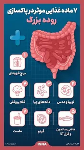 ۷ ماده غذایی موثر در پاکسازی روده بزرگ