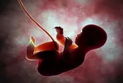 سازمان غذا و دارو : تکذیب توقف تولید کیت غربالگری