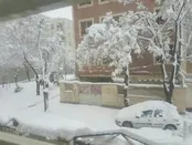 بارش سنگین برف هم اکنون  در اراک