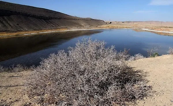 دریاچه "بزنگان" تنها دریاچه طبیعی خراسان رضوی به دلیل کاهش شارش چشمه های بالادست که نشات گرفته از افزایش جمعیت انسانی در بالادست دریاچه, توسعه اراضی کشاورزی و فقدان آب مازاد برای تغذیه دریاچه است، در حال خشک شدن و از دست دادن زیبای اراضی خود است./TASNIM
